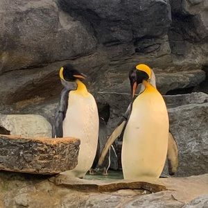 Meet your Posher, Carly